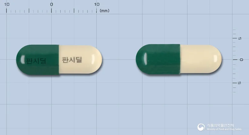 판시딜캡슐 실물 사진