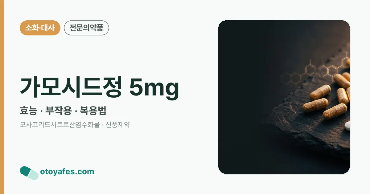 가모시드정 5mg 정리 썸네일