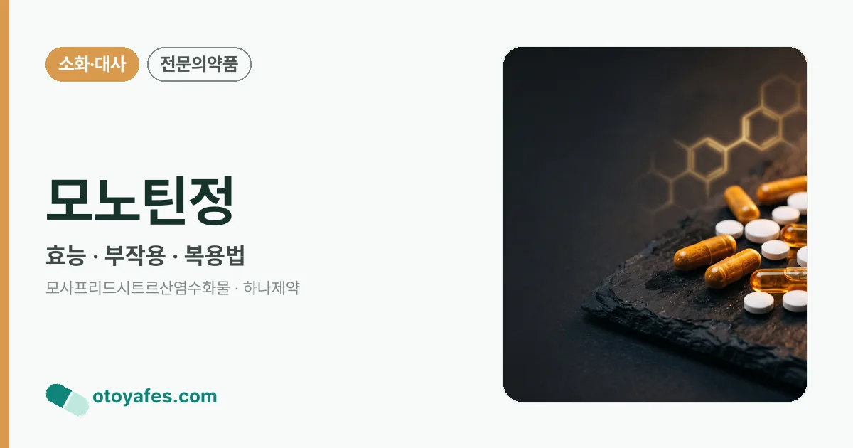 모노틴정 정리 썸네일