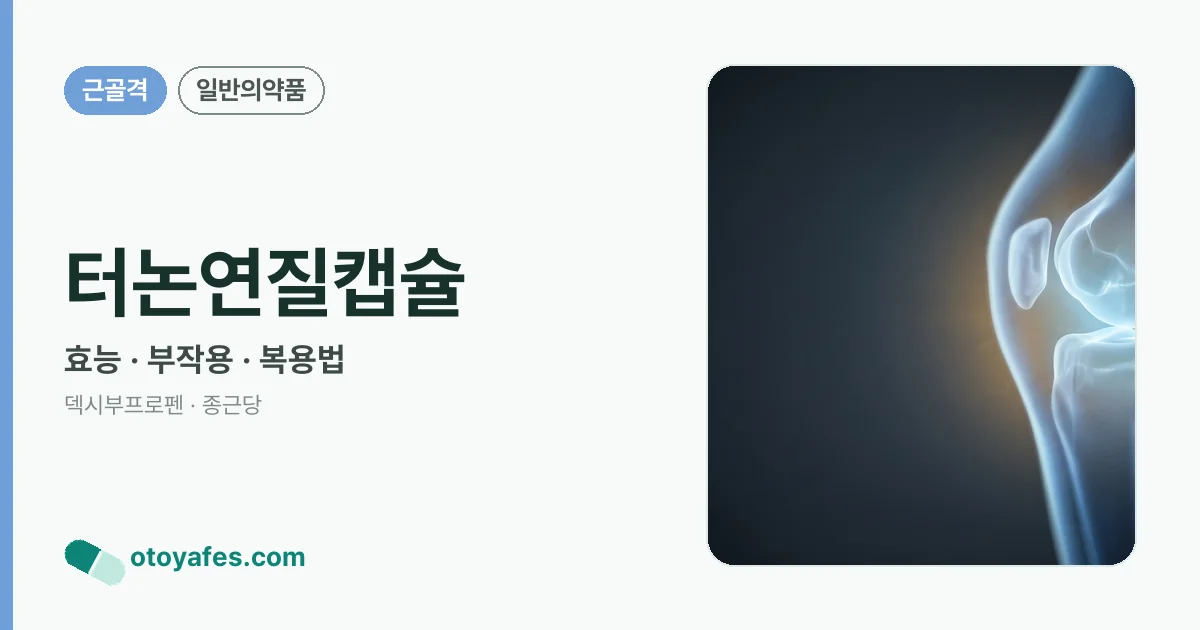 터논연질캡슐 정리 썸네일