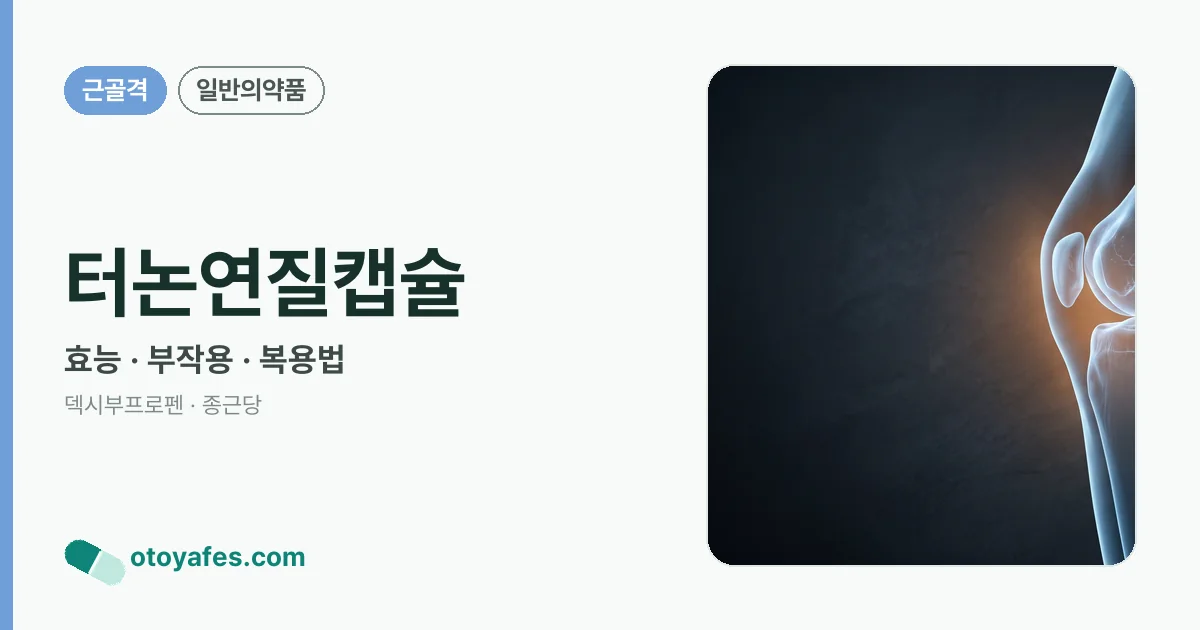 터논연질캡슐 정리 썸네일