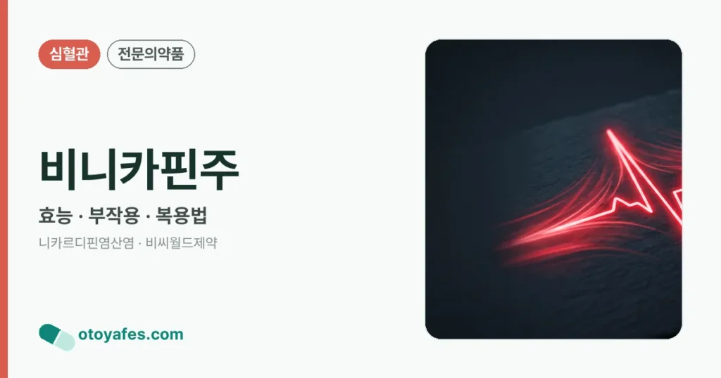 비니카핀주 정리 썸네일