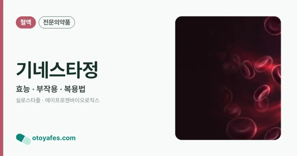 기네스타정 정리 썸네일
