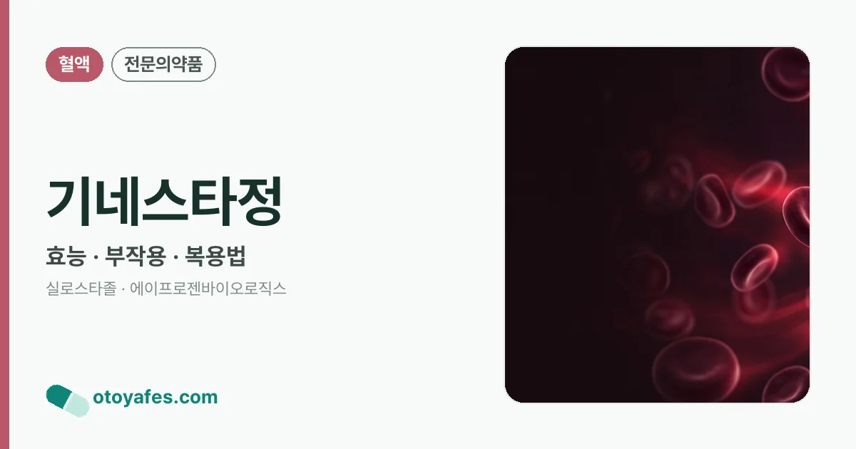 기네스타정 정리 썸네일
