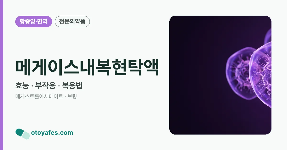 메게이스내복현탁액 정리 썸네일