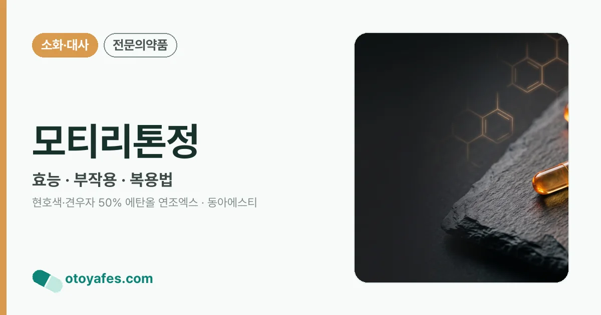모티리톤정 정리 썸네일
