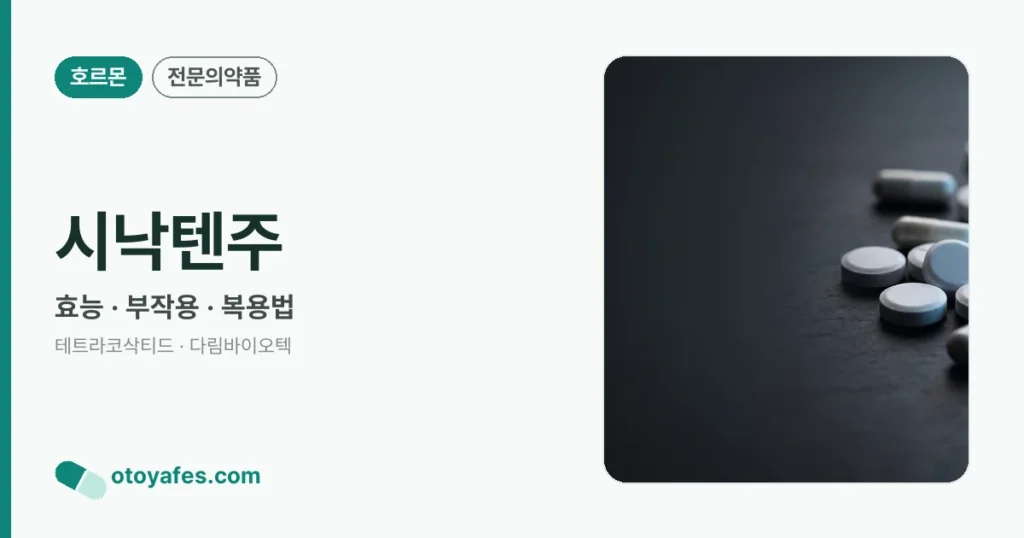 시낙텐주 정리 썸네일