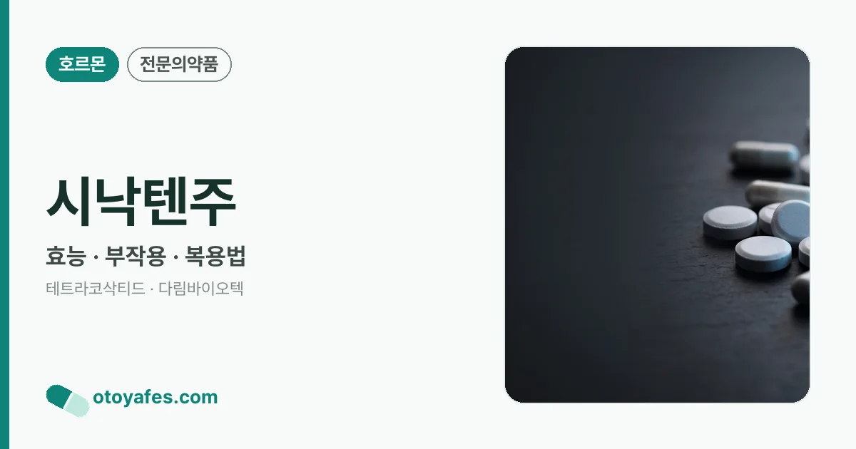 시낙텐주 정리 썸네일