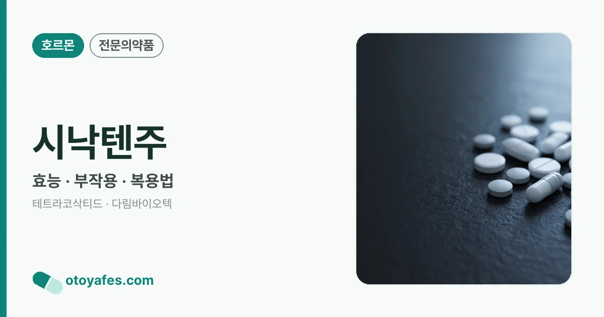 시낙텐주 정리 썸네일