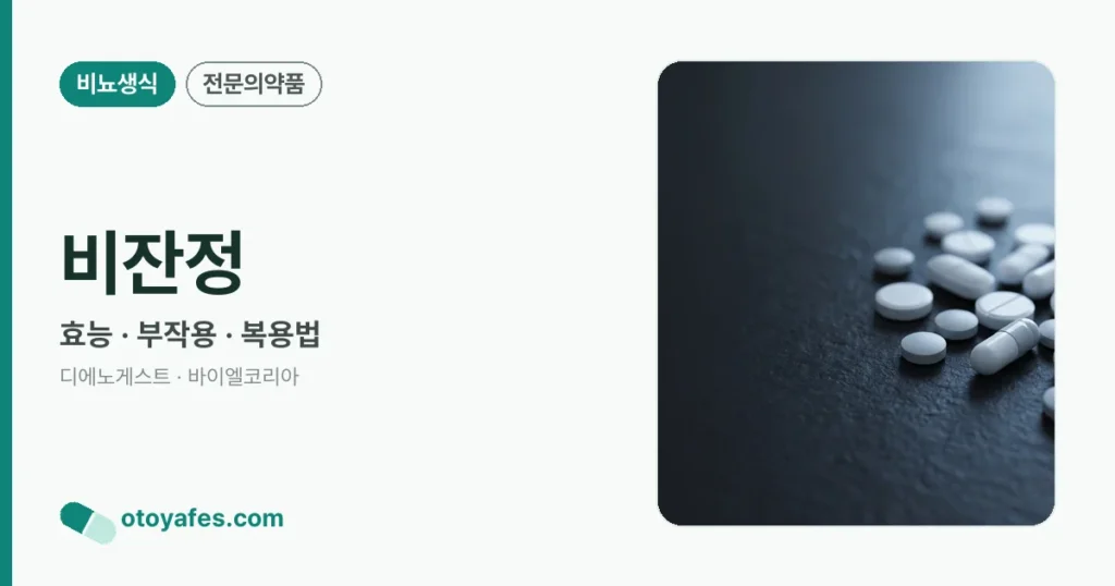 비잔정 정리 썸네일