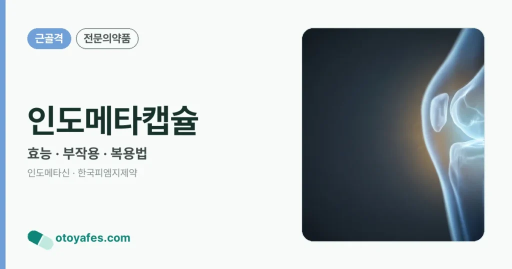인도메타캡슐 정리 썸네일