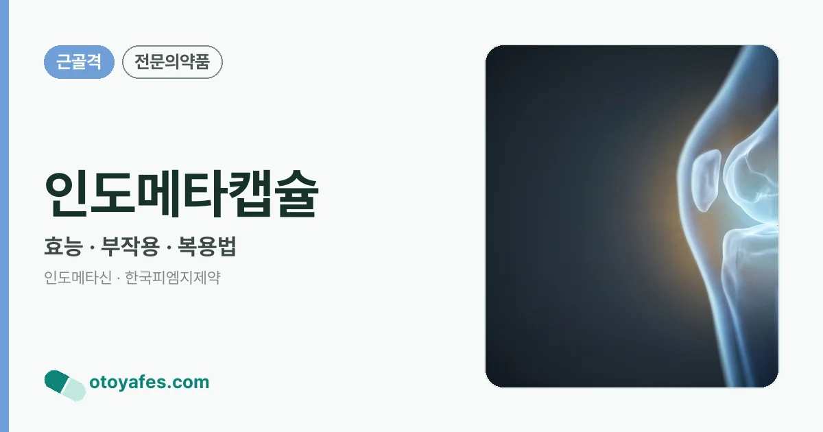 인도메타캡슐 정리 썸네일