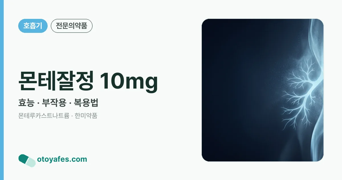 몬테잘정 10mg 정리 썸네일