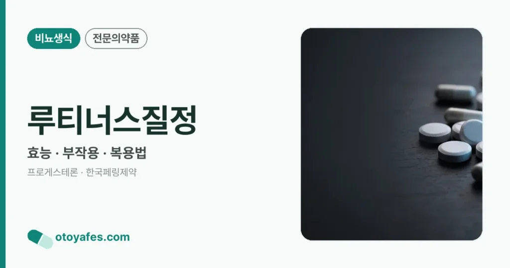 루티너스질정 정리 썸네일