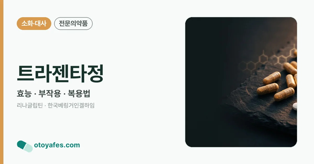 트라젠타정 정리 썸네일