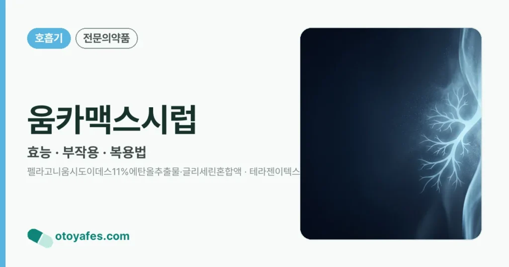 움카맥스시럽 정리 썸네일