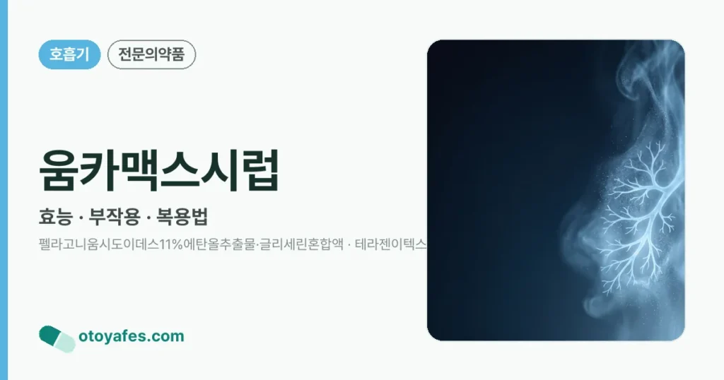 움카맥스시럽 정리 썸네일