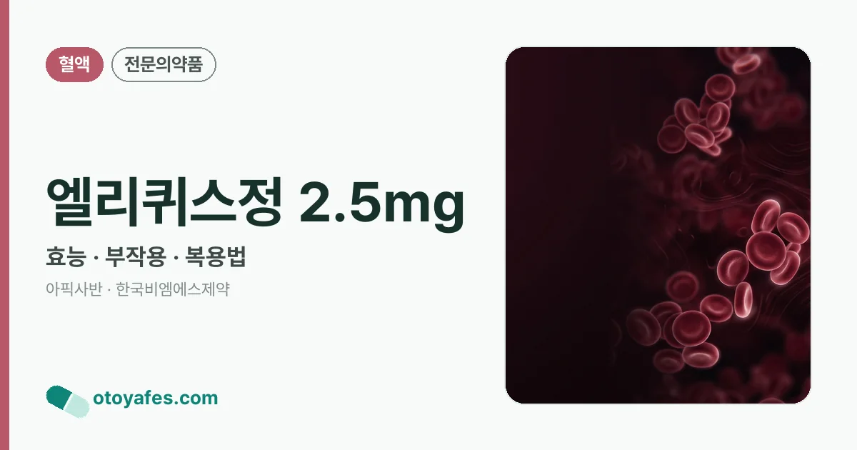 엘리퀴스정 2.5mg 정리 썸네일