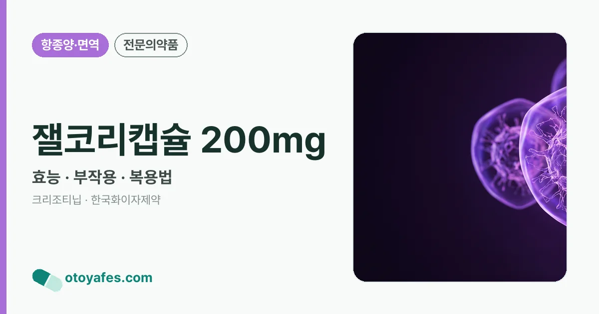 잴코리캡슐 200mg 정리 썸네일
