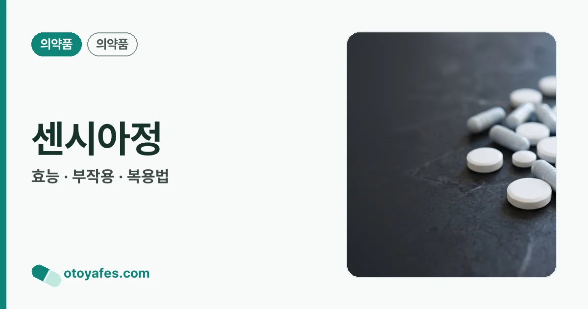 센시아정 정리 썸네일