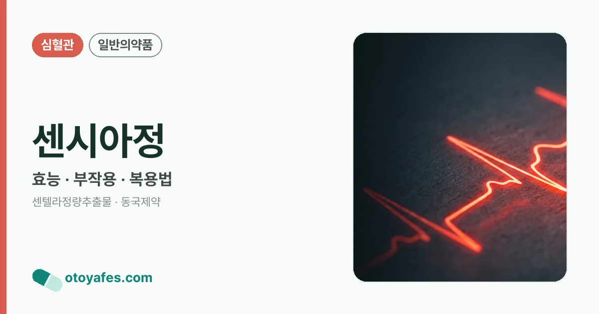 센시아정 정리 썸네일