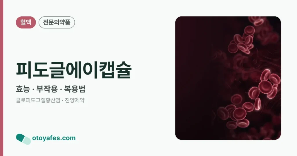 피도글에이캡슐 정리 썸네일
