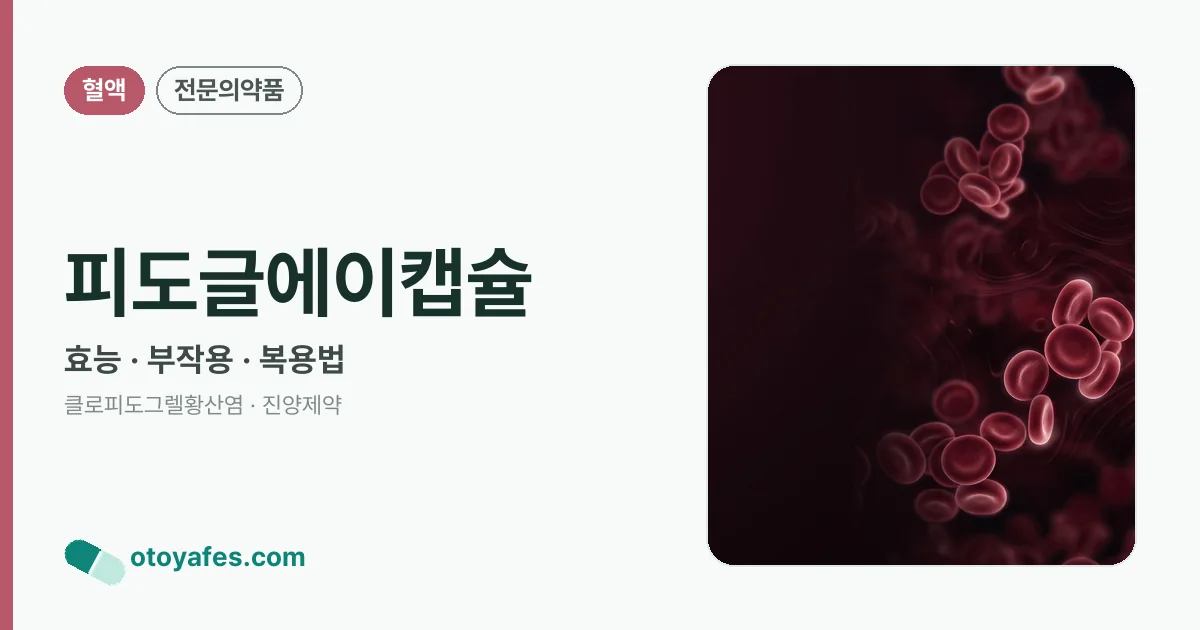 피도글에이캡슐 정리 썸네일