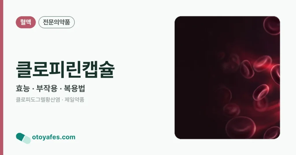 클로피린캡슐 정리 썸네일