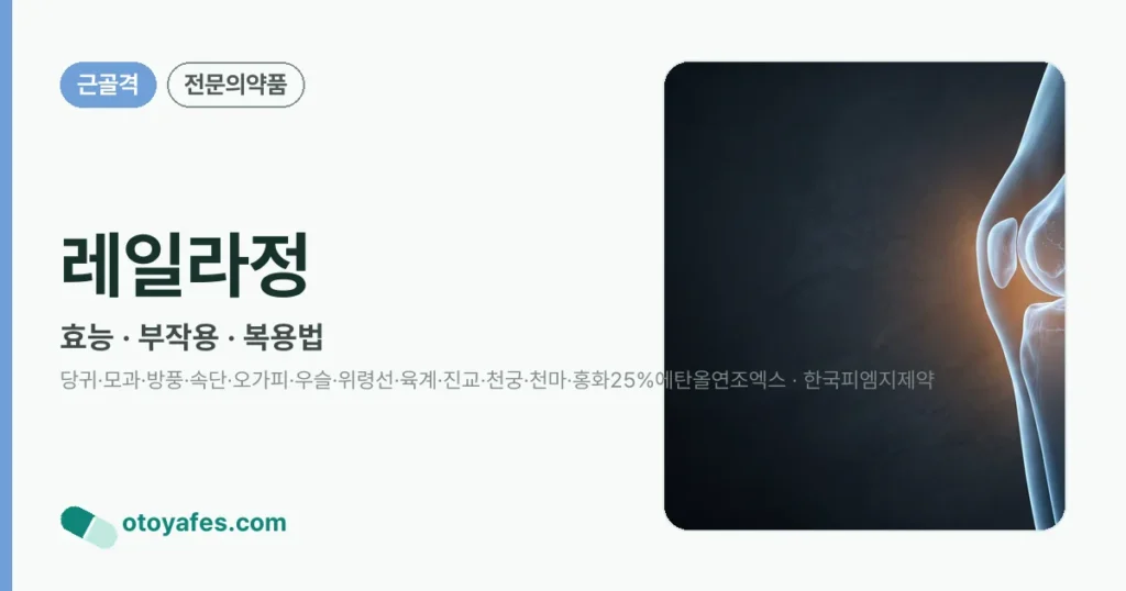 레일라정 정리 썸네일