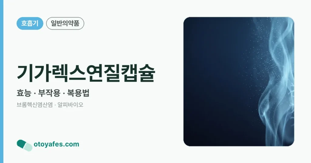 기가렉스연질캡슐 정리 썸네일