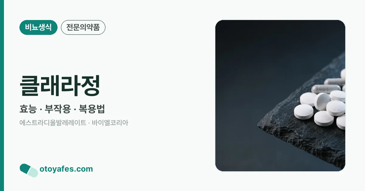 클래라정 정리 썸네일