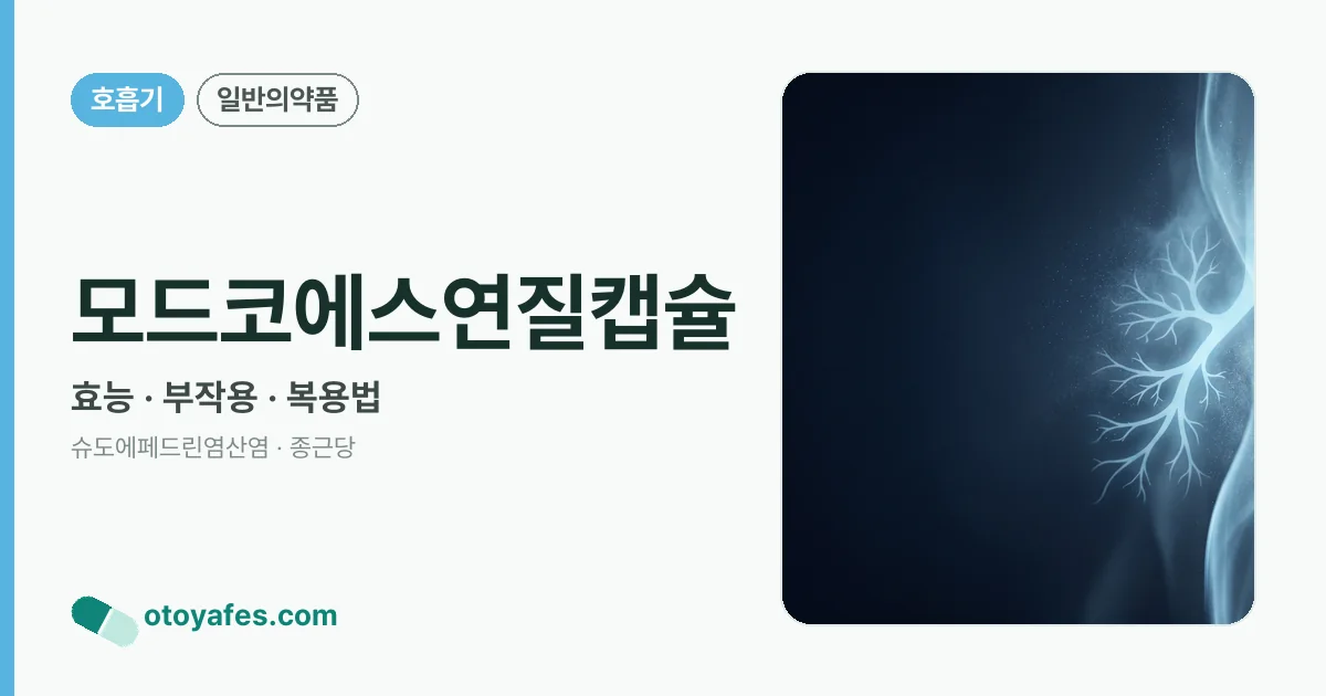 모드코에스연질캡슐 정리 썸네일