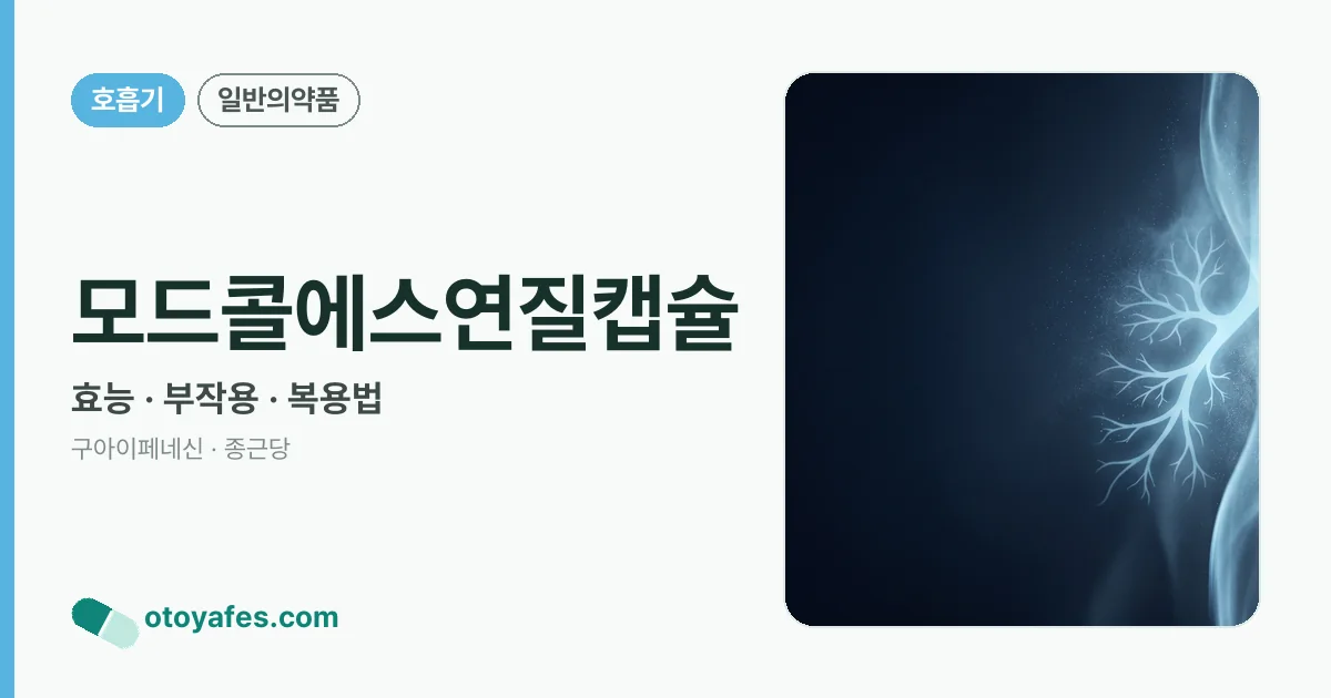 모드콜에스연질캡슐 정리 썸네일