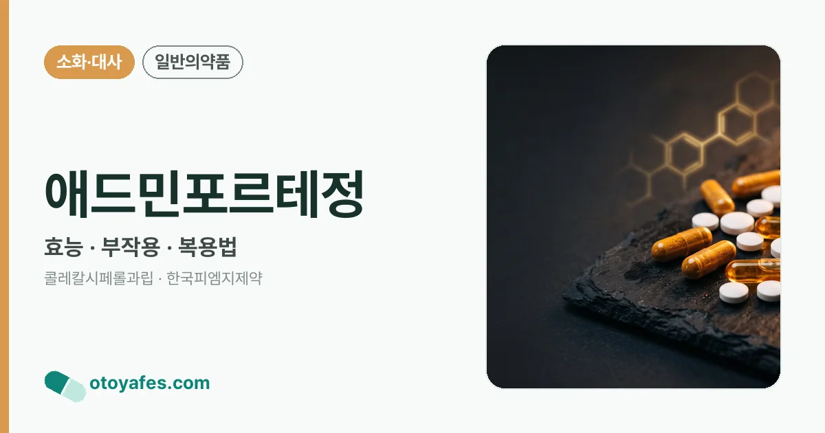 애드민포르테정 정리 썸네일