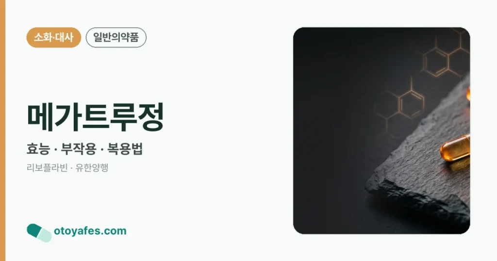 메가트루정 정리 썸네일