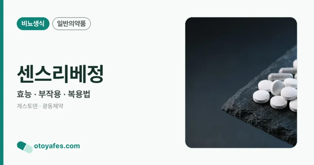 센스리베정 정리 썸네일