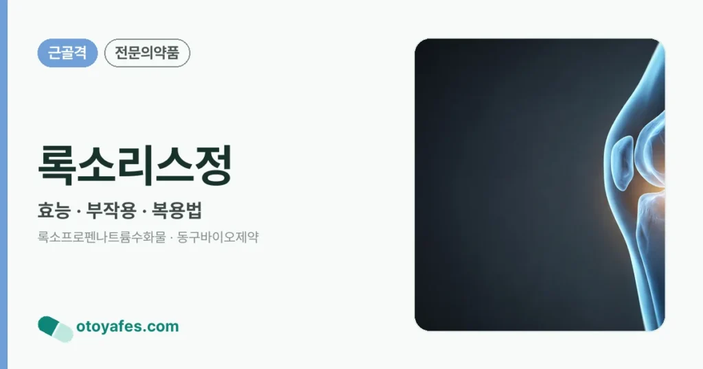 록소리스정 정리 썸네일