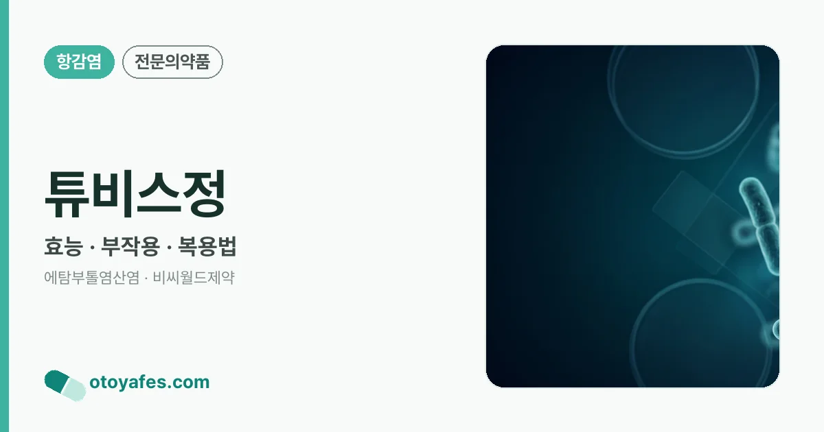 튜비스정 정리 썸네일