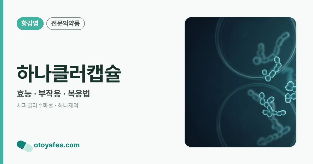 하나클러캡슐 정리 썸네일