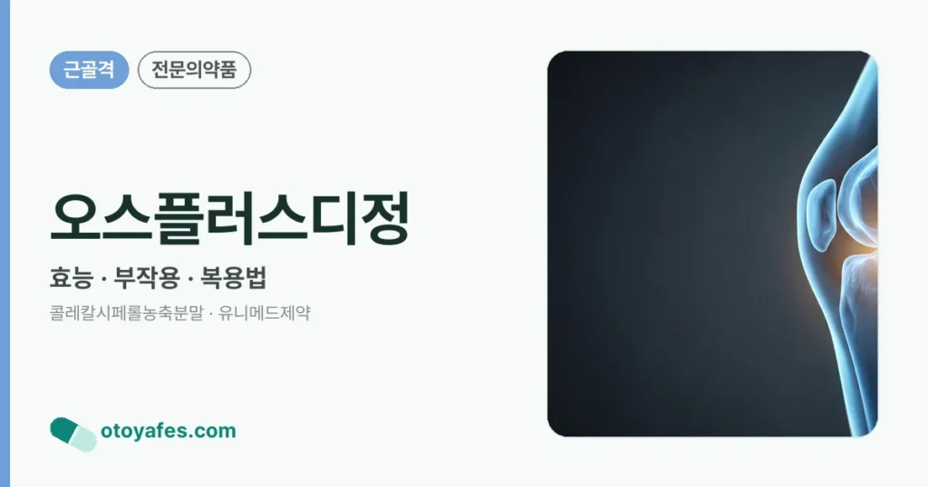 오스플러스디정 정리 썸네일