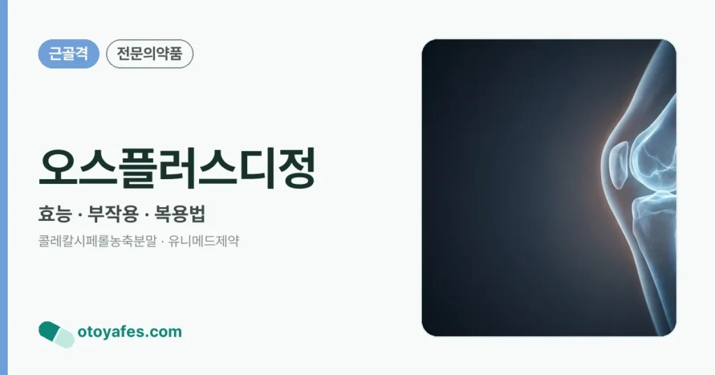오스플러스디정 정리 썸네일