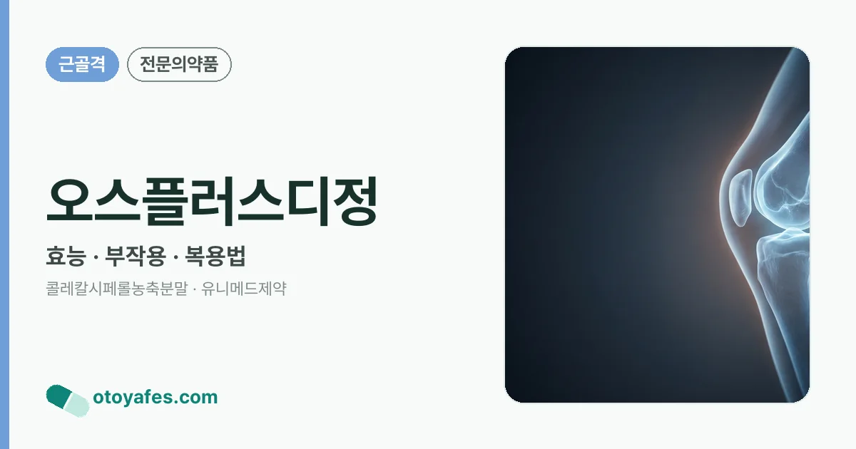 오스플러스디정 정리 썸네일