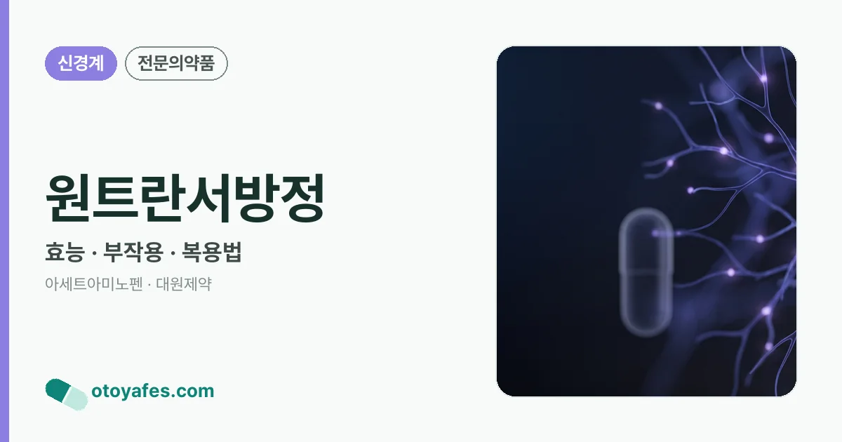 원트란서방정 정리 썸네일