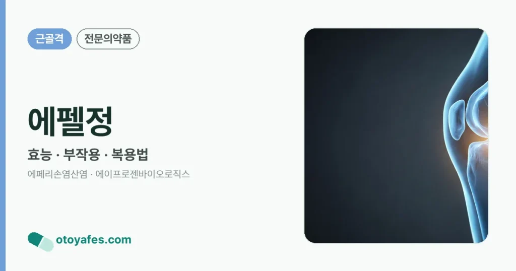 에펠정 정리 썸네일