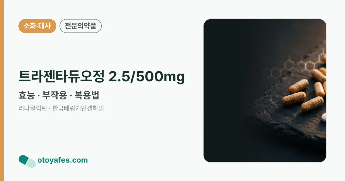 트라젠타듀오정 2.5/500mg 정리 썸네일