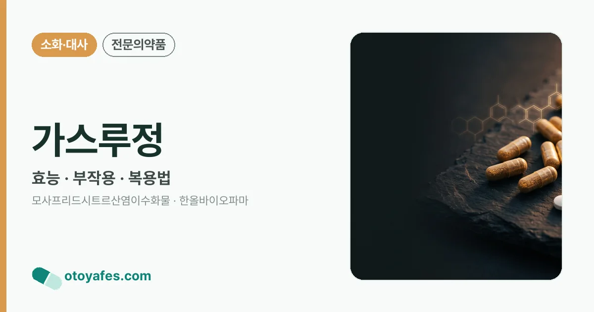 가스루정 정리 썸네일