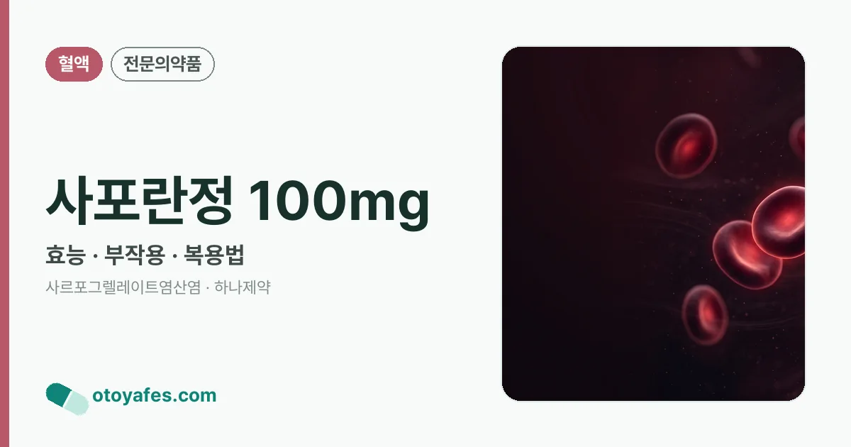 사포란정 100mg 정리 썸네일