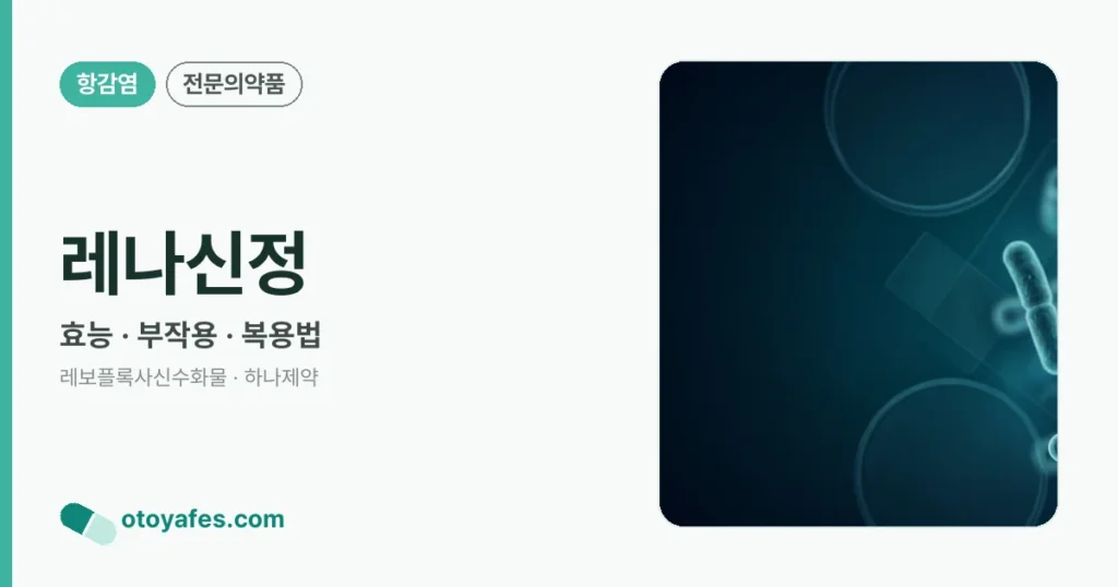 레나신정 정리 썸네일