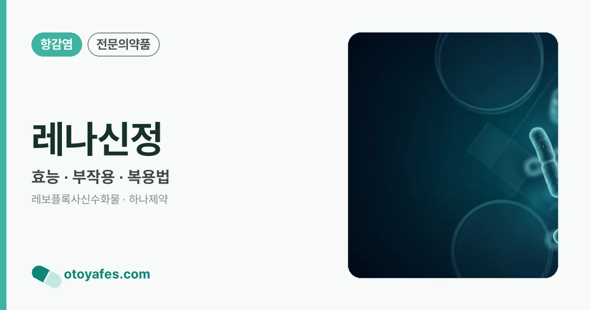 레나신정 정리 썸네일