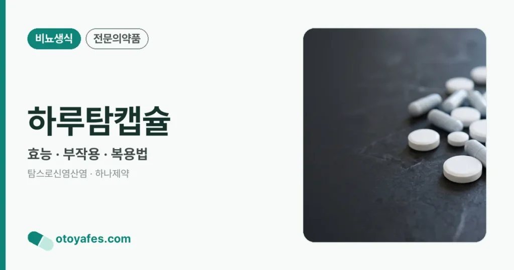 하루탐캡슐 정리 썸네일